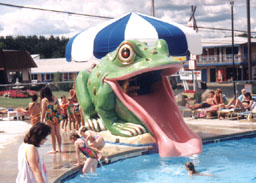 Frog Slide Model 1800-10