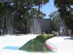Alligator Slide Model 1800-41